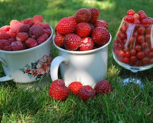 Превью обои ягоды, малина, смородина, красная, клубника, дача, кружки, чашки, бокал, трава, макро