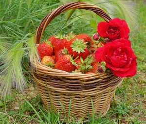 Превью обои ягоды, розы, клубника, корзинка