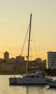 Превью обои яхты, лодки, город, здания, рассвет