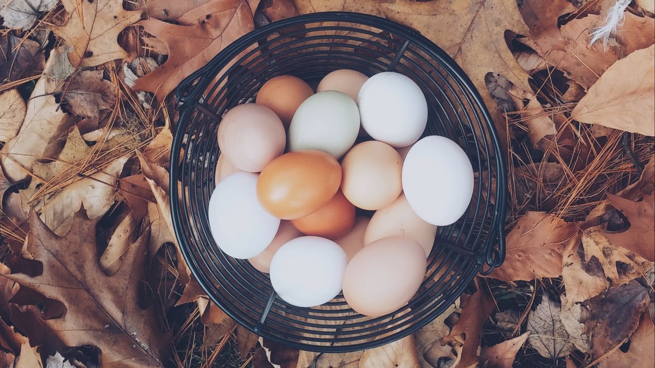 Обои яйца, осень, корзинка, листва