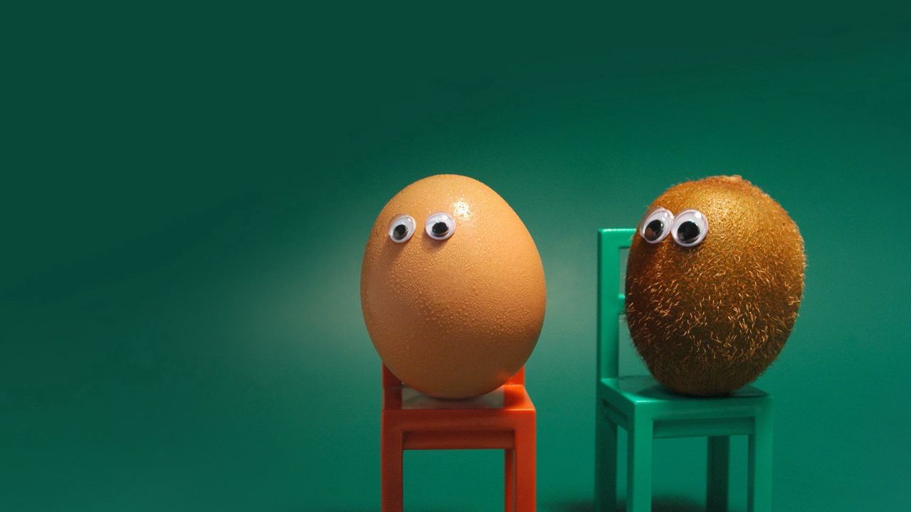 Обои яйцо, киви, глаза, стулья, забавный, ситуация