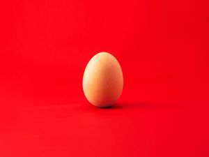 Превью обои яйцо, куриное яйцо, красный, минимализм
