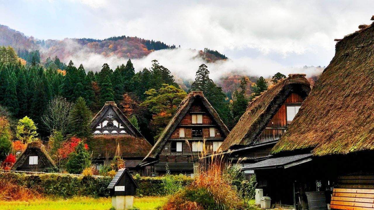 Обои япония, сиракава, дома, горы, деревья