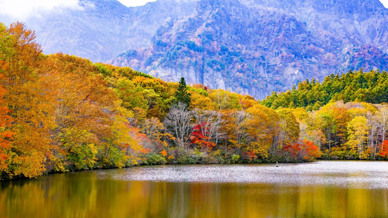 Обои япония, тогакуси, озеро, горы, деревья, осень