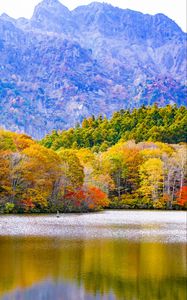 Превью обои япония, тогакуси, озеро, горы, деревья, осень