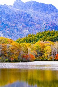 Превью обои япония, тогакуси, озеро, горы, деревья, осень