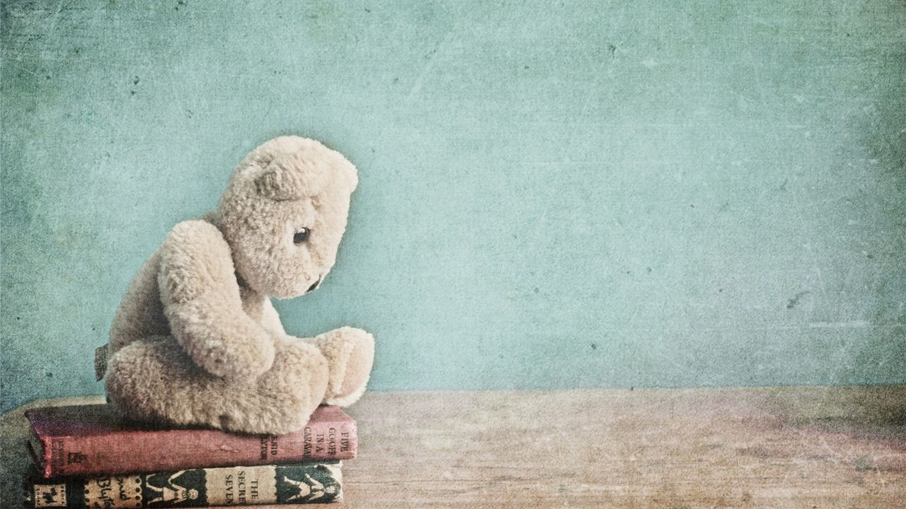 Обои игрушка, медведь, плюшевый, книги