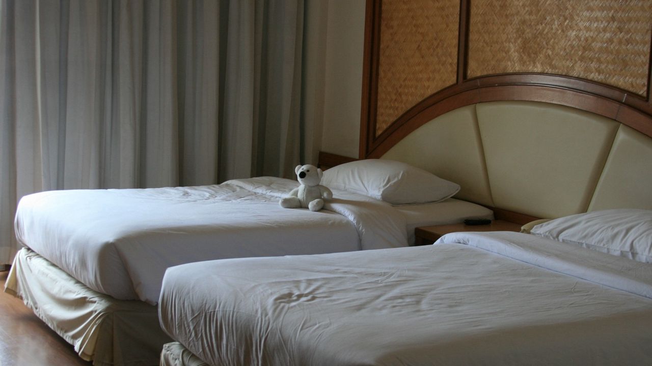 Обои интерьер, отель, кровати, мишка