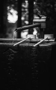 Превью обои источник, вода, бамбук, черно-белый
