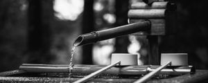 Превью обои источник, вода, бамбук, черно-белый