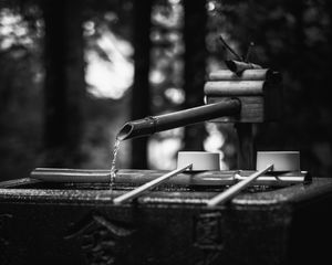 Превью обои источник, вода, бамбук, черно-белый