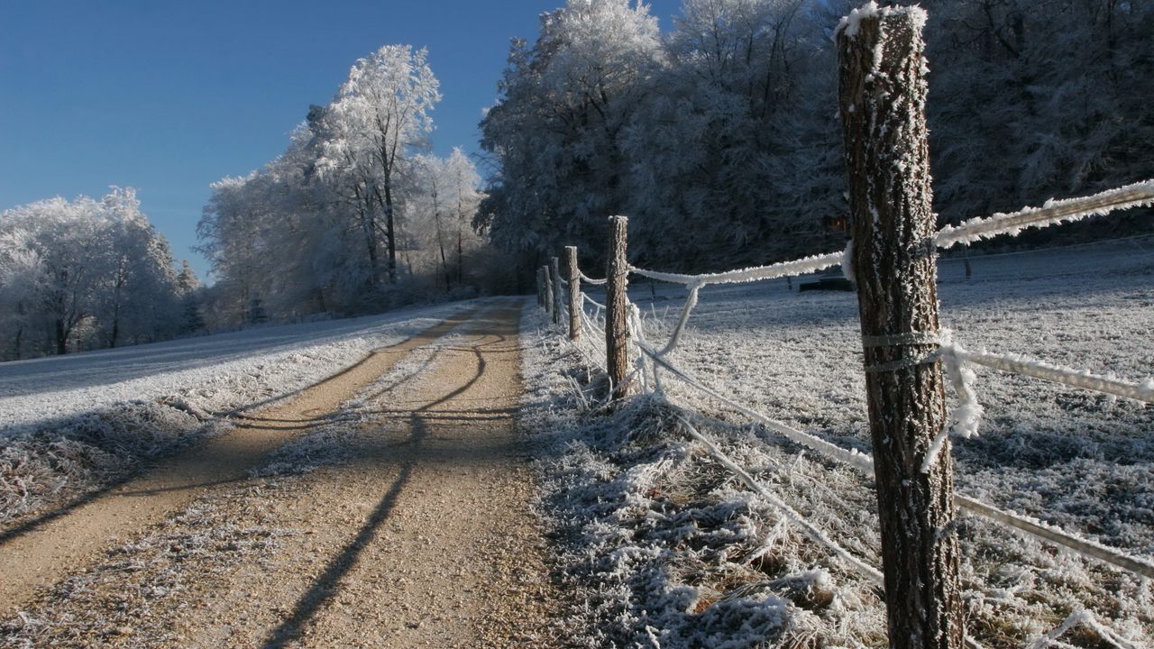 Проселочная дорога фото картинки