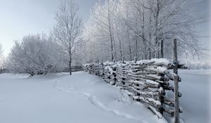 Превью обои изгородь, снег, зима, следы, покров