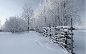 Превью обои изгородь, снег, зима, следы, покров