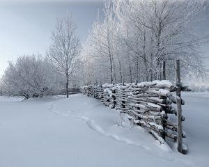 Превью обои изгородь, снег, зима, следы, покров