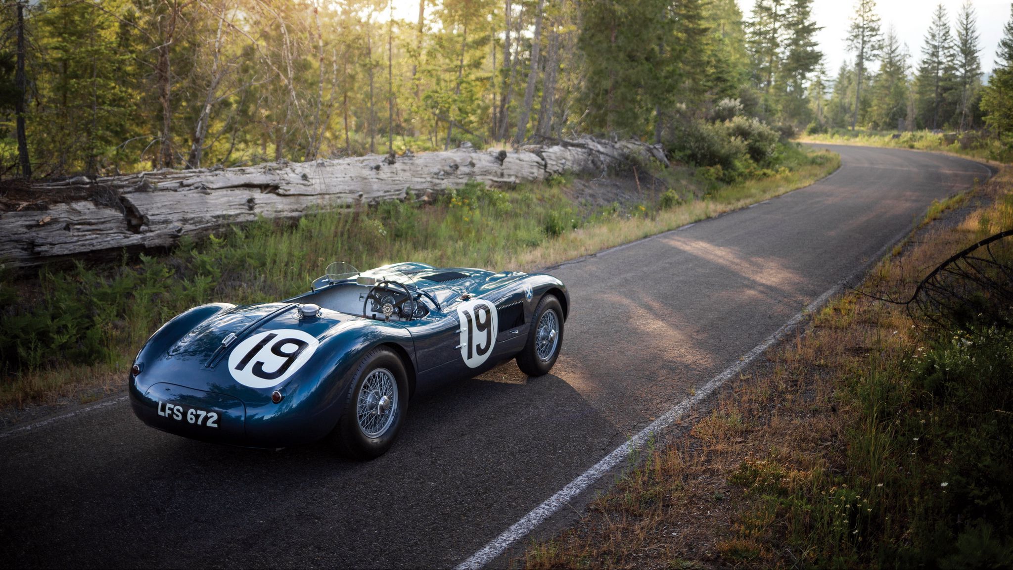 Jaguar c Type 1951