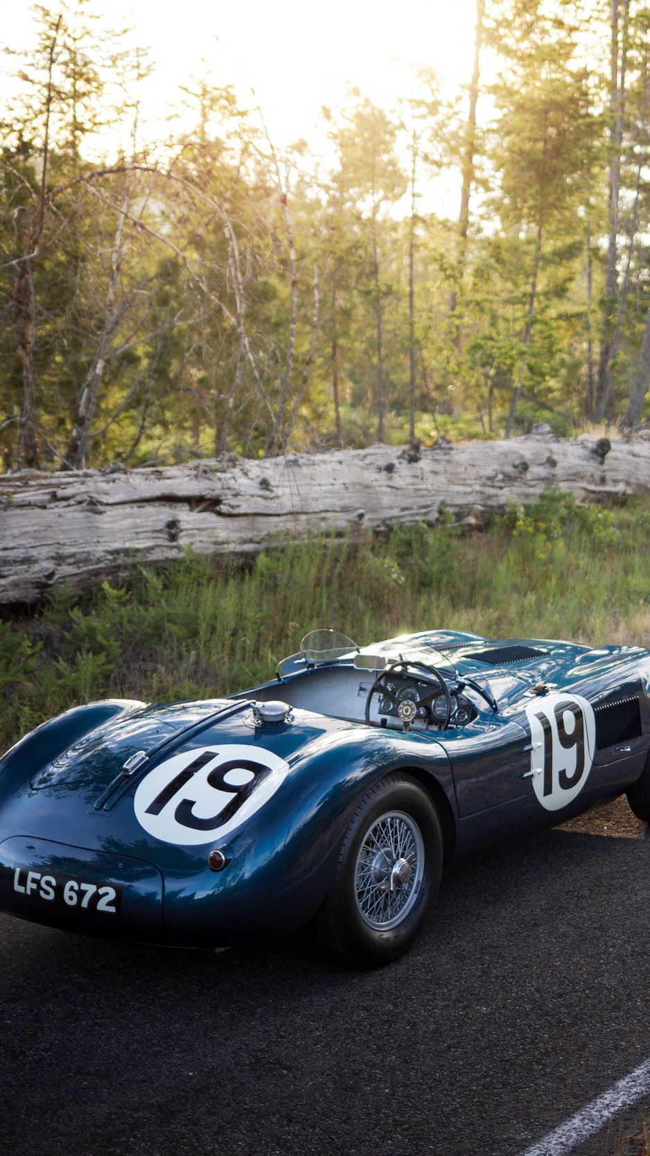 Jaguar c Type 1951