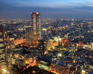 Превью обои japan, tokyo, япония, токио, здания, вечер, огни города