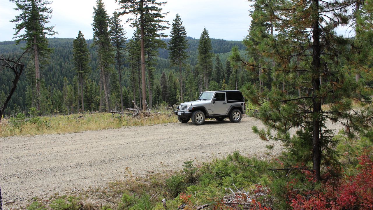 Обои jeep, автомобиль, серый, дорога, лес