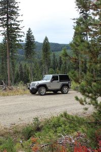 Превью обои jeep, автомобиль, серый, дорога, лес