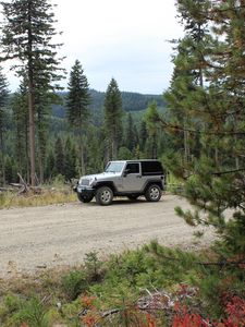 Превью обои jeep, автомобиль, серый, дорога, лес