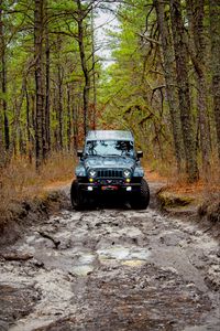 Превью обои jeep wrangler, jeep, автомобиль, вид спереди, лес