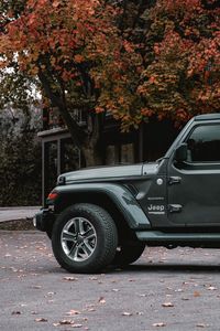 Превью обои jeep wrangler, jeep, автомобиль, внедорожник, серый, вид сбоку