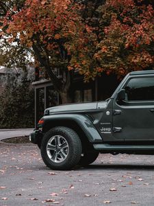 Превью обои jeep wrangler, jeep, автомобиль, внедорожник, серый, вид сбоку