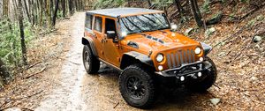 Превью обои jeep wrangler, jeep, автомобиль, внедорожник, коричневый, бездорожье