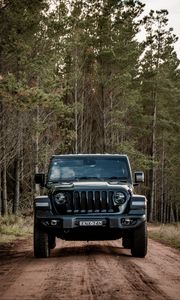 Превью обои jeep wrangler, jeep, автомобиль, внедорожник, черный, лес