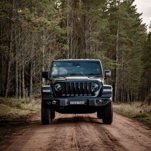 Превью обои jeep wrangler, jeep, автомобиль, внедорожник, черный, лес