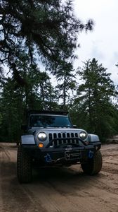 Превью обои jeep wrangler, jeep, автомобиль, внедорожник, серый, лес