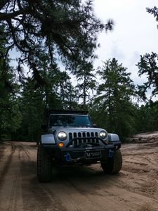 Превью обои jeep wrangler, jeep, автомобиль, внедорожник, серый, лес