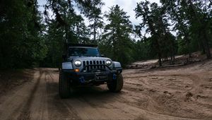 Превью обои jeep wrangler, jeep, автомобиль, внедорожник, серый, лес