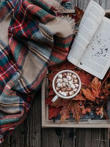 Превью обои какао, зефир, осень, плед, книга