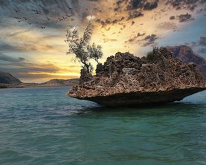 Превью обои камень, море, деревья, небо, природа