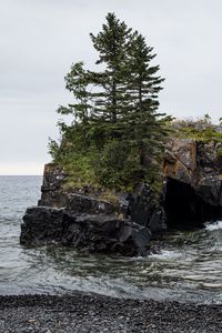 Превью обои камни, деревья, море, галька, природа