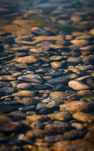 Превью обои камни, галька, вода, текстура