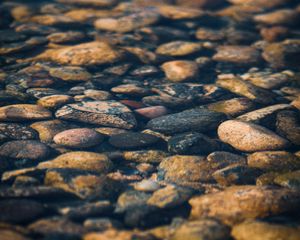 Превью обои камни, галька, вода, текстура