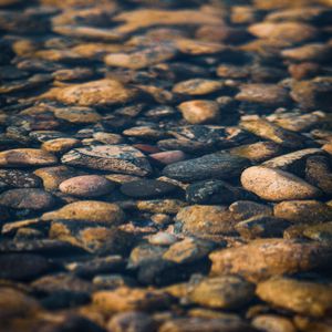 Превью обои камни, галька, вода, текстура
