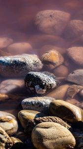 Превью обои камни, галька, вода, макро