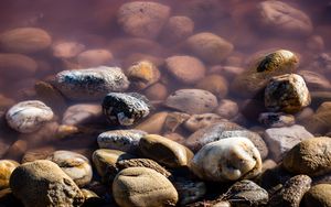 Превью обои камни, галька, вода, макро