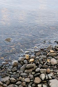 Превью обои камни, галька, вода, берег, дно, прозрачная, влажность