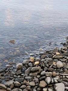 Превью обои камни, галька, вода, берег, дно, прозрачная, влажность