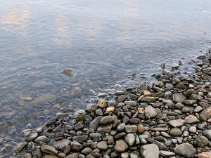 Превью обои камни, галька, вода, берег, дно, прозрачная, влажность