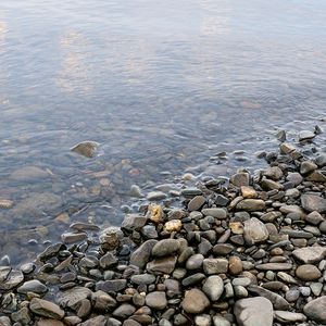 Превью обои камни, галька, вода, берег, дно, прозрачная, влажность