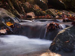 Превью обои камни, листья, ручей, мокрый, природа