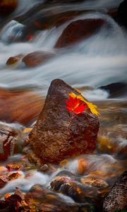 Превью обои камни, листья, вода, поток, скалы