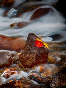 Превью обои камни, листья, вода, поток, скалы