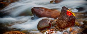 Превью обои камни, листья, вода, поток, скалы